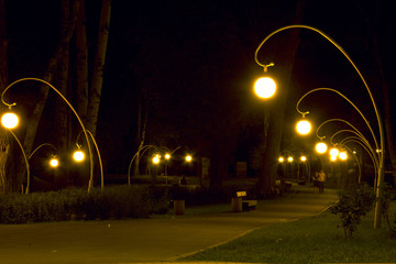 Alley in the park Dinamo in th evening