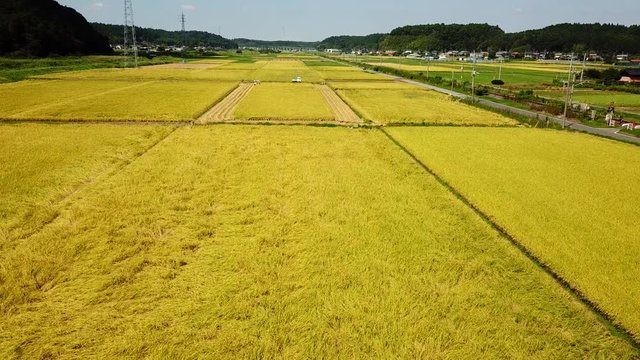 米の収穫鳥瞰トラッキング