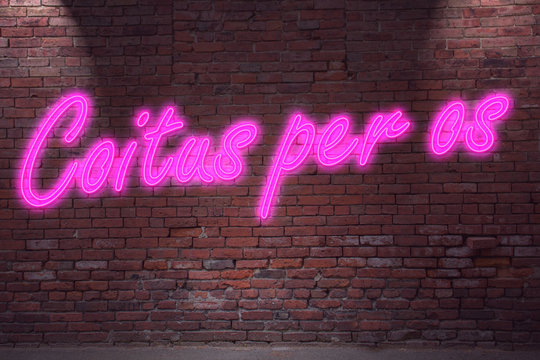 Leuchtreklame Coitus per os an Ziegelsteinmauer