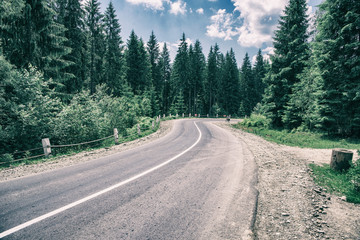 Fototapeta na wymiar asphalt road through the forest in the mountains