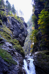Spring water, mountain river. Slovenia