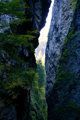 Fototapeta na wymiar Spring water, mountain river. Slovenia