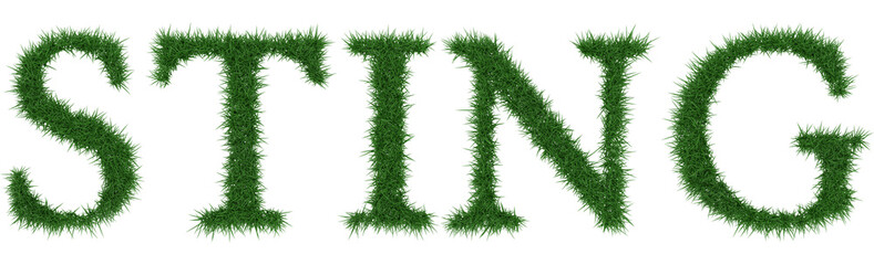 Sting - 3D rendering fresh Grass letters isolated on whhite background.