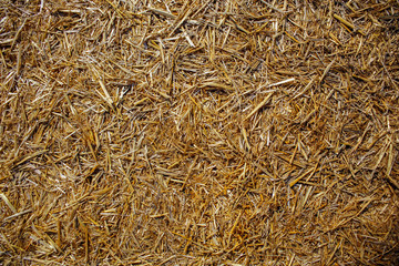 gold hay texture, hay background