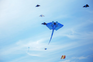 blue kite in the sky