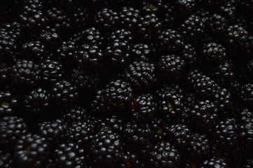 Moras #1