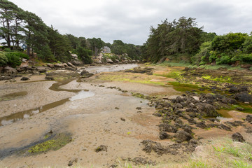Marée basse à Ploumanac'h