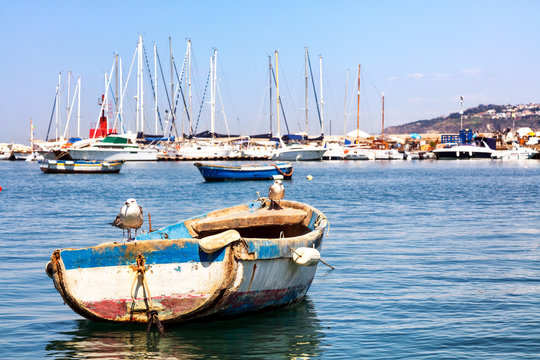 Mouettes sur une barque dans le port de Procida, golfe de Naples, région de Campanie, Italie  
