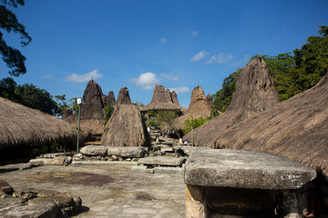 Line of traditional houses on Tarung Traditional Village on East Sumba, Indonesia