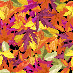 autumn leaves. seamless pattern