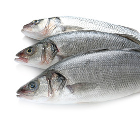 Fresh fish on white background