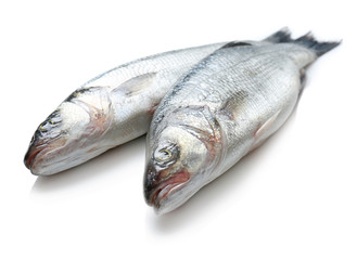 Fresh fish on white background