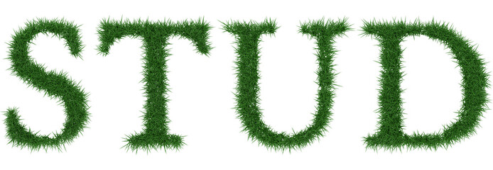 Stud - 3D rendering fresh Grass letters isolated on whhite background.