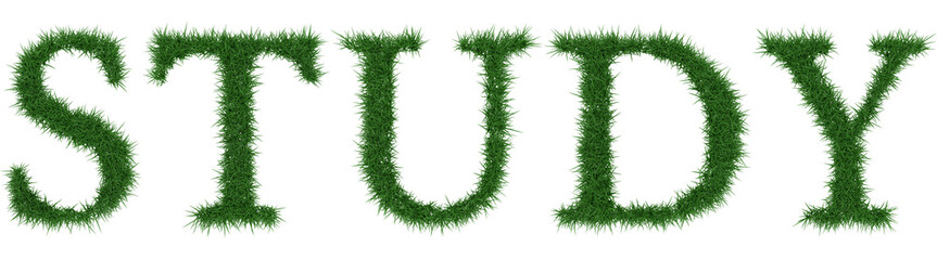 Study - 3D rendering fresh Grass letters isolated on whhite background.