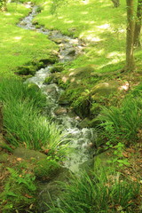 成田山公園の小川