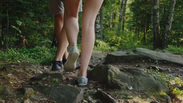 A couple of tourists are walking along a mountain path covered with the roots of large trees. Rear view