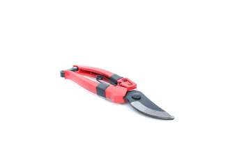 Cutting pliers of tree on isolated