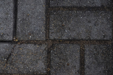 wall floor2