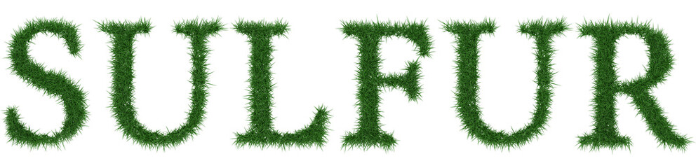 Sulfur - 3D rendering fresh Grass letters isolated on whhite background.