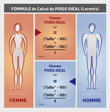 Calcul Poids Idéal Illustration - Home et Femme - Formule Lorentz - Icones  Silhouettes - en Français Stock Vector | Adobe Stock