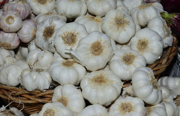 Garlic bulbs.