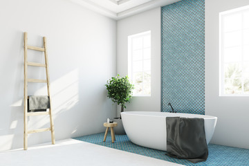 Blue and white bathroom, white tub corner