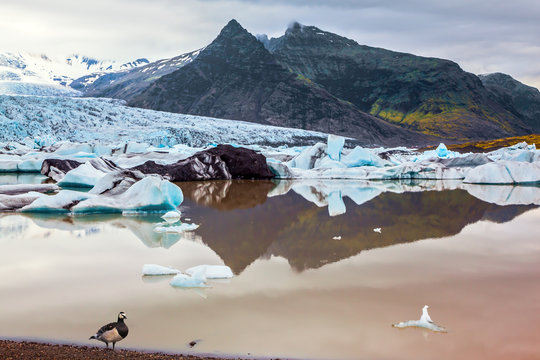  The glacier Vatnajokull