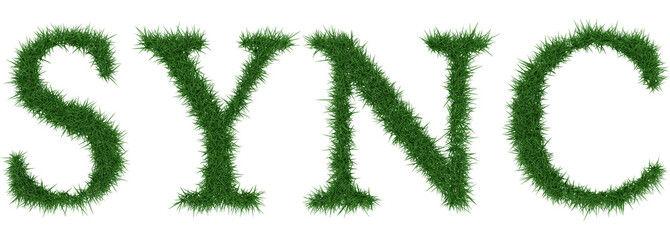 Sync - 3D rendering fresh Grass letters isolated on whhite background.