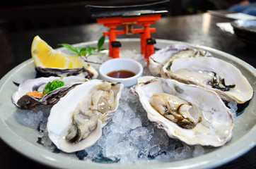 fresh oysters in Japan