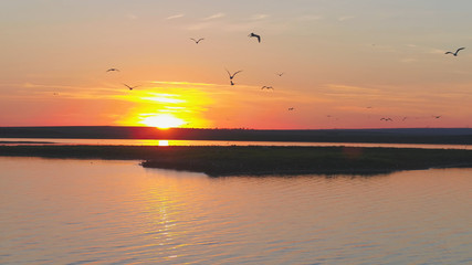 Fototapeta na wymiar A flock of birds on the background of colorful sky. Sunset on the river. Island of gulls. Birds fly at sunset, aerial