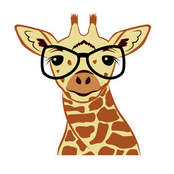 Giraffe head vector graphic illustration.