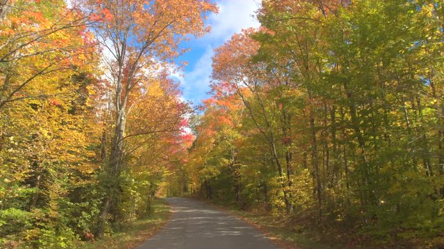 POV: Driving on empty road through stunning colorful forest on sunny autumn day. FPV People on leaf peeping road trip driving through autumn forest in sunny fall. Beautiful fall foliage nature drive
