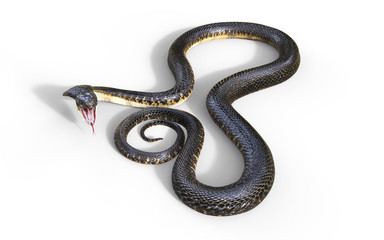 Naklejka premium 3d King Cobra The World's Longest Venomous Snake Isolated on White Background, King Cobra Snake, 3d Illustration, 3d Rendering