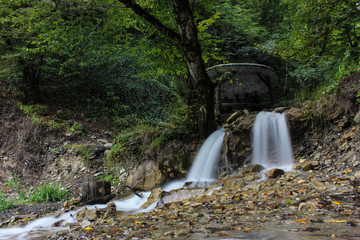 The Forest Waterfall