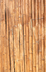 Brown bamboo wall texture background.