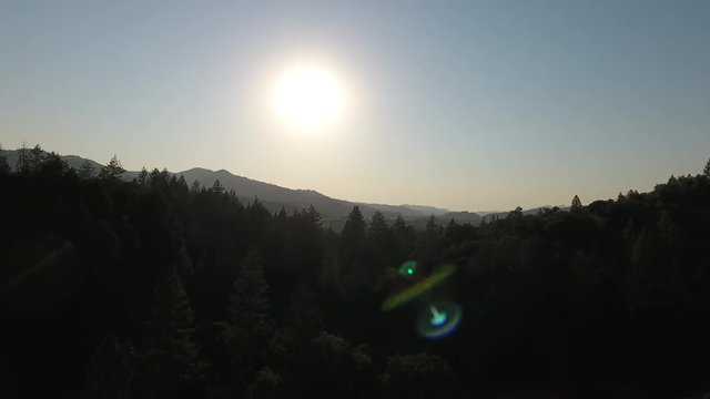 Drone aerial shot of Napa Valley.