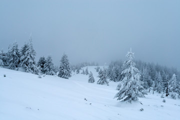 Fototapeta na wymiar Fantastic winter landscape