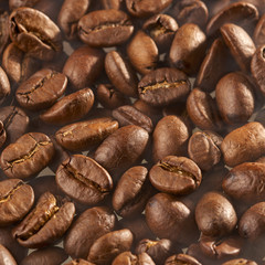 coffee beans