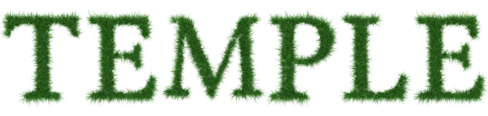 Temple - 3D rendering fresh Grass letters isolated on whhite background.