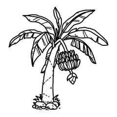 banana tree / cartoon vector and illustration, black and white, hand drawn, sketch style, isolated on white background.