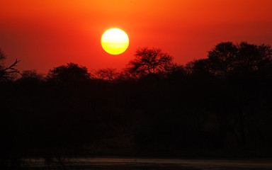 Sunset over an african rainforest