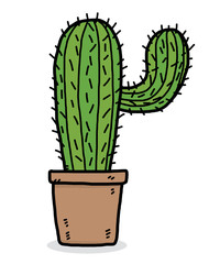 cactus / cartoon vector and illustration, hand drawn style, isolated on white background.
