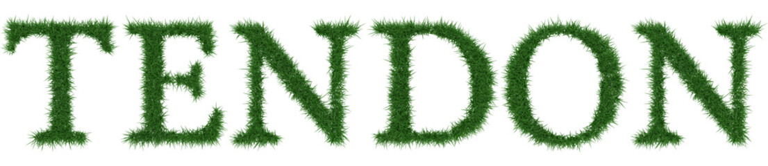 Tendon - 3D rendering fresh Grass letters isolated on whhite background.