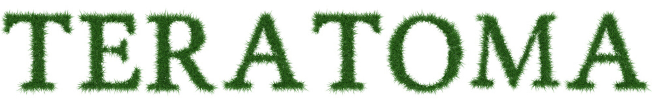Teratoma - 3D rendering fresh Grass letters isolated on whhite background.