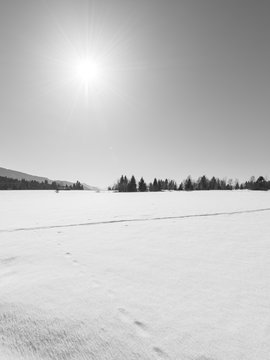 Winter.  Black and white. Winter landscape. Deep snow in the field. Bright sun in a clear blue sky. Simple minimalism.