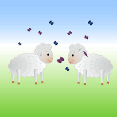 Couple of sheep in a meadow