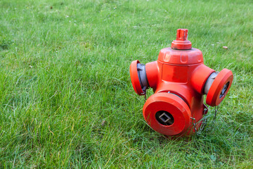 hydrant in the grass