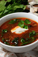 Tomato soup with spinach
