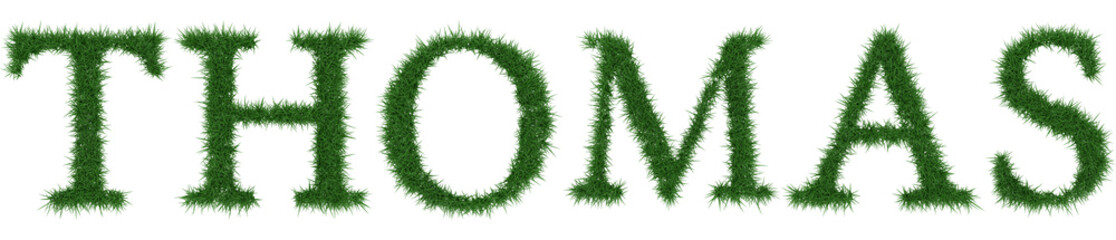Thomas - 3D rendering fresh Grass letters isolated on whhite background.