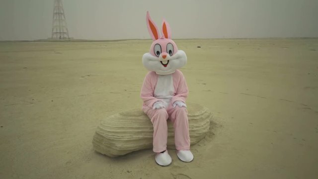 Easter rabbit sits on stone in desert. claps hands by knees. Crazy maniac or psycho in pink rabbit costume is sitting on sand